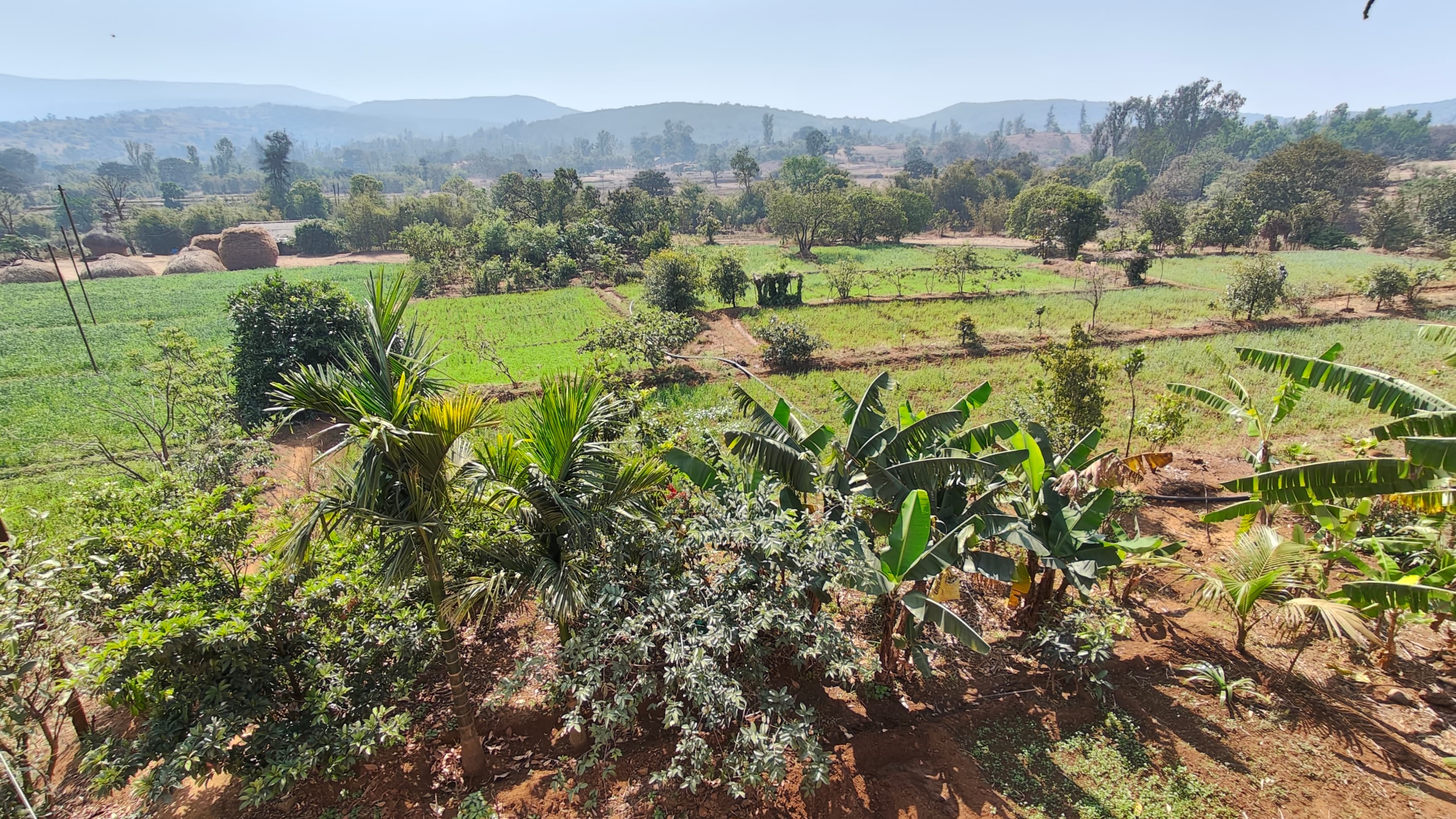 Girija Farm Fresh farm landscape